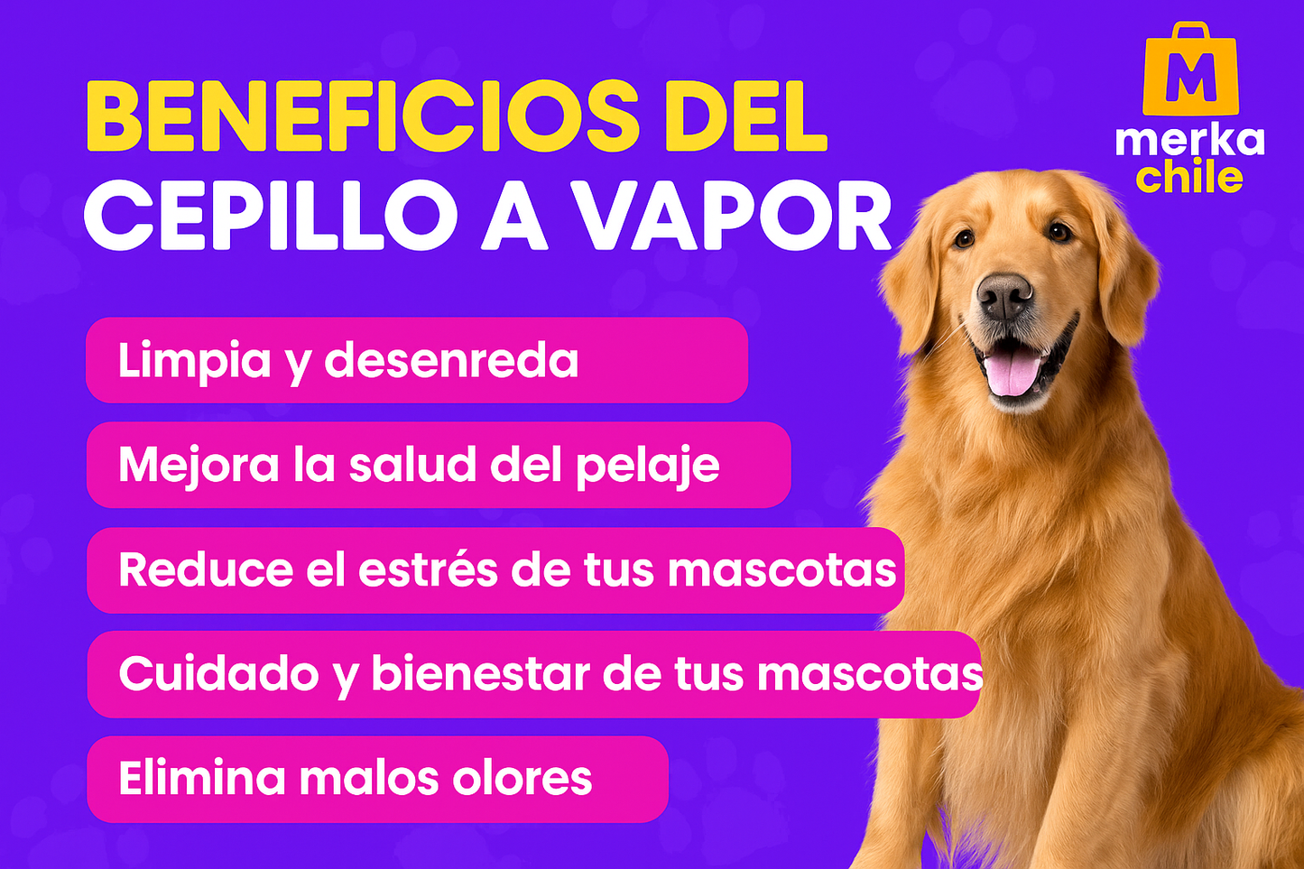 ✅ Cepillo 3 en 1 para mascotas Colgante